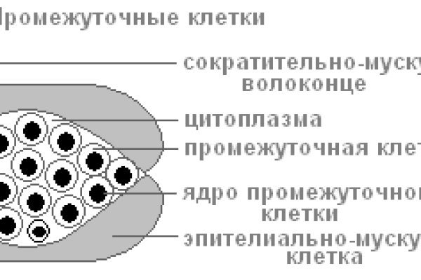 Kraken marketing lab