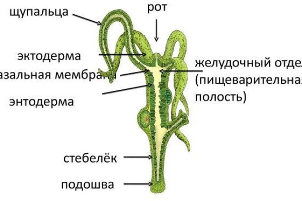 Кракен это наркозависимость