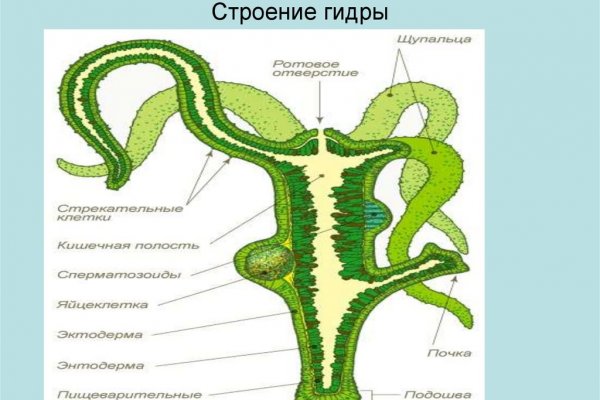 Не заходит на кракен